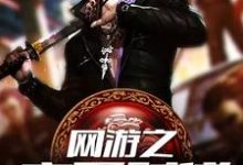 已完结小说《网游之高手时代》章节在线阅读-红梅文学