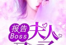 报告Boss:夫人又怀了这本小说完结了吗?免费查看最新章节-红梅文学