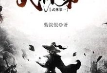 武林第一小说最新章节在哪里可以读到?-红梅文学