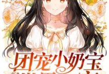 团宠小奶宝是世界首富夏沅沅墨尧宁熙宁楚遇,团宠小奶宝是世界首富小说免费阅读-红梅文学