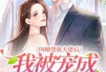 已完结小说《闪婚禁欲大佬后,我被宠成高岭之花》章节在线阅读-红梅文学