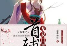 重生之首辅宠妻日常小说阅读,重生之首辅宠妻日常完结版-红梅文学