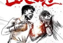 匹夫之怒小说，匹夫之怒最新章节-红梅文学