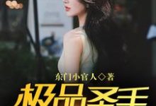 求极品圣手在都市小说免费资源-红梅文学