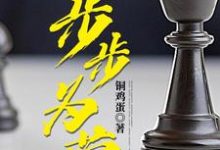 完结版《步步为营》章节阅读-红梅文学