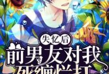 完整版的失忆后前男友对我死缠烂打小说在哪里可以免费读到?-红梅文学