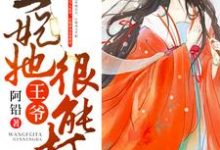 云泥南宫炽的小说在哪里看?免费在线阅读王爷,王妃她很能打-红梅文学