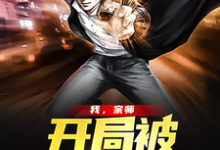 主人公叶尘朵朵小说我，宗师，开局被直播曝光在线章节阅读-红梅文学