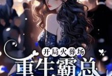 《开局火葬场,重生霸总追妻路漫漫》全集免费在线阅读(姜璃湛陆行)-红梅文学