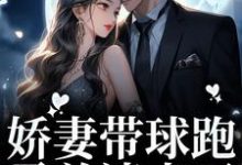 求娇妻带球跑,霸总请走开小说的全文免费阅读链接-红梅文学