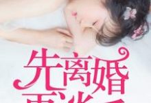 主角叫欧阳雪江云天小说先离婚,再谈爱章节免费阅读-红梅文学