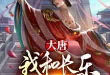 叶风长乐公主为主角的小说好看吗?免费读大唐:我和长乐灵魂互换了!-红梅文学