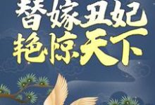 叶蓁南宫胤的小说在哪里看?免费在线阅读穿越后,替嫁丑妃艳惊天下-红梅文学