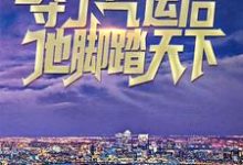 完结版《夺了气运后,他脚踏天下》免费阅读-红梅文学