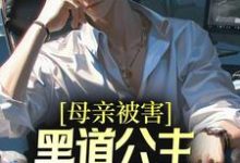 主角刘斌张璐小说完结版在线阅读,母亲被害,黑道公主扶我登高位免费看-红梅文学