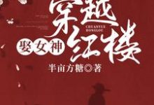 在线寻找沈睿泽林黛玉的小说,穿越红楼娶女神免费阅读-红梅文学