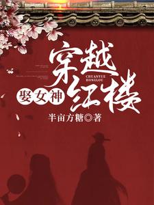 在线寻找沈睿泽林黛玉的小说，穿越红楼娶女神免费阅读