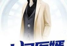 寻找能够免费阅读上门医婿小说的平台-红梅文学