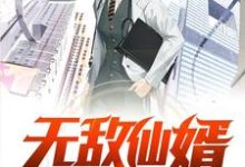 完结版《无敌仙婿》在线免费阅读-红梅文学