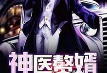 神医赘婿小说，神医赘婿吴凡萧敏萧军艾米丽-红梅文学