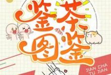哪里可以免费读到温如意顾尘年的完整故事?寻找快穿之鉴茶图鉴-红梅文学