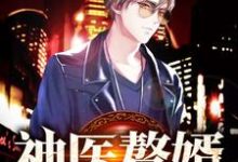 丁一飞于馨小说在线章节免费阅读（神医赘婿无弹窗无删减）-红梅文学