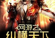 完结版《网游之纵横天下》章节目录在线阅读-红梅文学