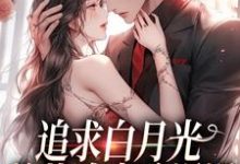 追求白月光，总裁追妻路漫漫姜苒傅司寒小说免费阅读-红梅文学
