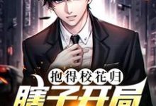 陈安是哪本书的主角?寻找瞎子开局逆风翻盘,抱得校花归免费阅读-红梅文学
