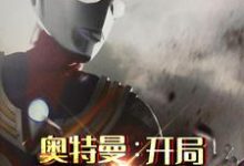 《奥特曼:开局变身迪迦》小说大结局免费试读 方源赛罗小说-红梅文学