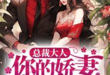 总裁大人,你的娇妻已跑路叶展眉言止安若瑜南瑾小说在线章节免费阅读-红梅文学