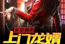 女总裁的上门龙婿小说有没有完结版在线？-红梅文学