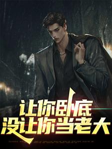 让你卧底，没让你当老大小说最新更新在哪里？免费在线看