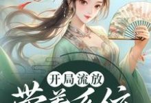 燕云赵婉莹是哪本书的主角?开局流放:带着系统和嫂子去种田免费读-红梅文学