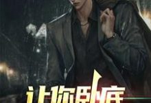 让你卧底,没让你当老大小说完结版章节免费阅读-红梅文学