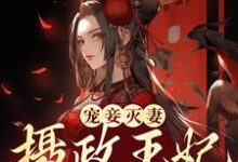 已完结小说《宠妾灭妻?摄政王妃她不干了》章节免费阅读-红梅文学