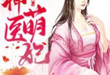 神医萌妃免费阅读，神医萌妃章节在线阅读-红梅文学