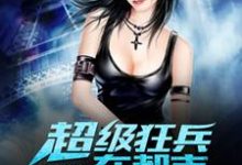 免费看超级狂兵在都市小说的网站有哪些？-红梅文学