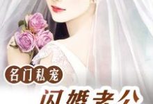寻找能够免费阅读名门私宠:闪婚老公好霸道小说的平台-红梅文学