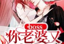完结版《boss你老婆又生气了》章节阅读-红梅文学