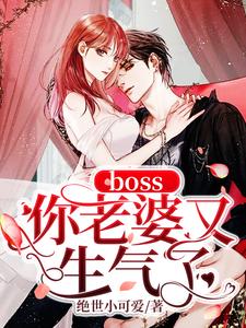 完结版《boss你老婆又生气了》章节阅读