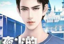 夜少的追妻路小说最新章节在哪里可以读到?-红梅文学