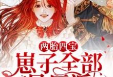 《两胎四宝,崽子全部是反派》小说大结局免费试读 江瑾厉北霄瑾瑾小说-红梅文学