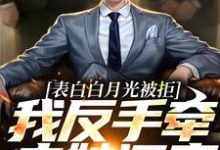 小说《表白白月光被拒，我反手牵走她闺蜜》在线章节阅读-红梅文学
