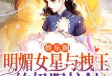 娱乐圈:明媚女星与拽王的极限拉扯这本小说怎么样?免费在线阅读试试-红梅文学
