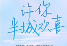 苏念叶殊城为主角的小说许你半城欢喜在线阅读-红梅文学