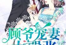 小说《顾爷宠妻太嚣张》章节阅读-红梅文学