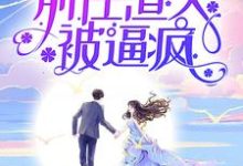 求考大学,嫁小叔,前任渣夫被逼疯小说的全文免费阅读链接-红梅文学