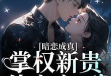 小说《暗恋成真:掌权新贵他官宣了》在线章节阅读-红梅文学