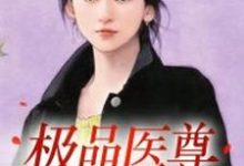 完结版《极品医尊》免费阅读-红梅文学